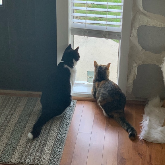 Meet your Posher, Bethany - Picture 7 of 9